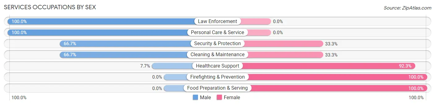 Services Occupations by Sex in Zip Code 53541