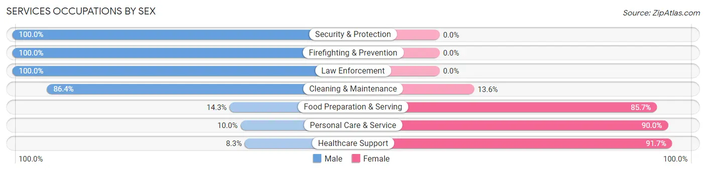 Services Occupations by Sex in Zip Code 53543