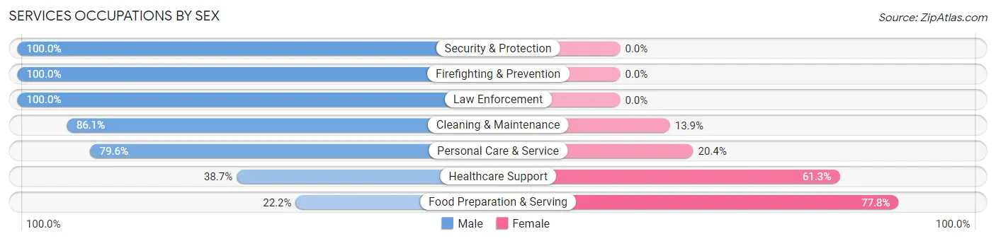 Services Occupations by Sex in Zip Code 53555