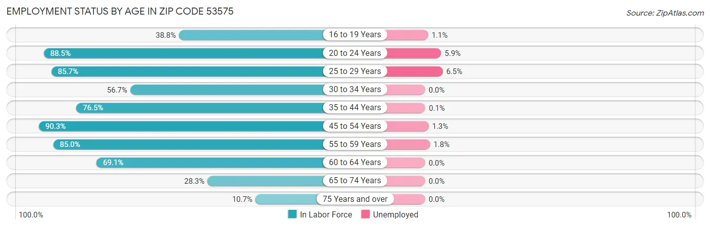 Employment Status by Age in Zip Code 53575