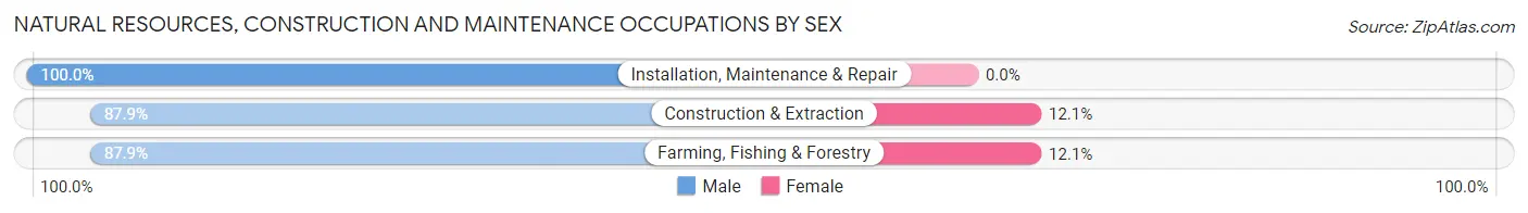Natural Resources, Construction and Maintenance Occupations by Sex in Zip Code 53578