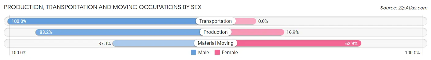 Production, Transportation and Moving Occupations by Sex in Zip Code 53585