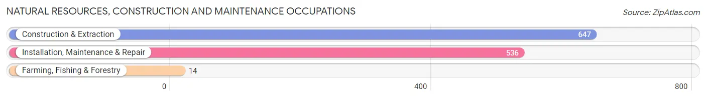 Natural Resources, Construction and Maintenance Occupations in Zip Code 53713