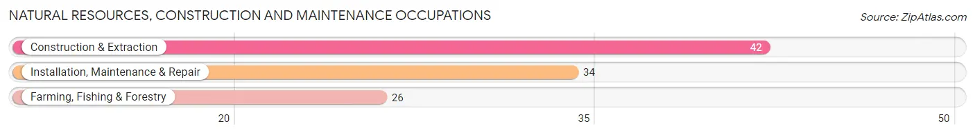 Natural Resources, Construction and Maintenance Occupations in Zip Code 53806