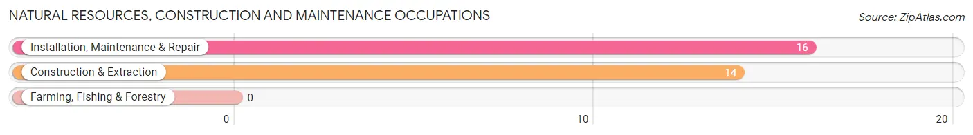 Natural Resources, Construction and Maintenance Occupations in Zip Code 53808