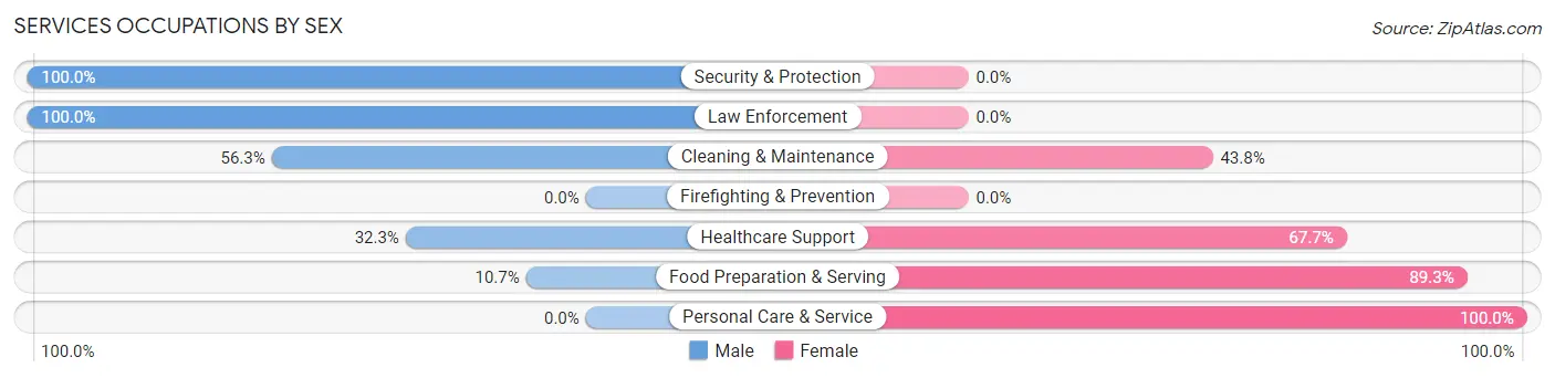 Services Occupations by Sex in Zip Code 53808