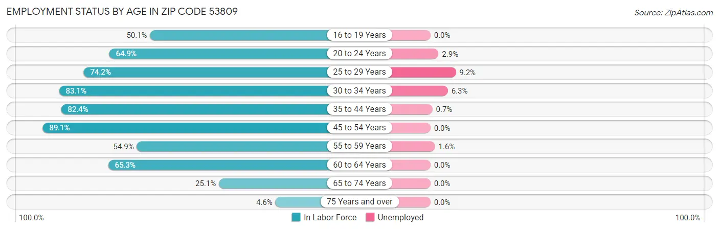 Employment Status by Age in Zip Code 53809