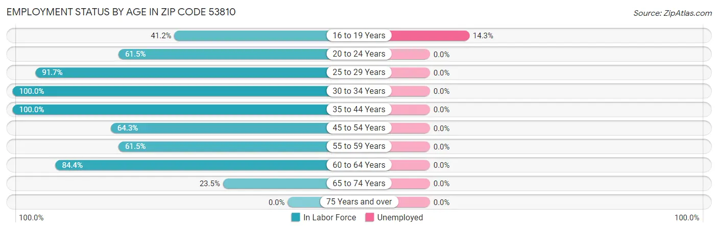 Employment Status by Age in Zip Code 53810