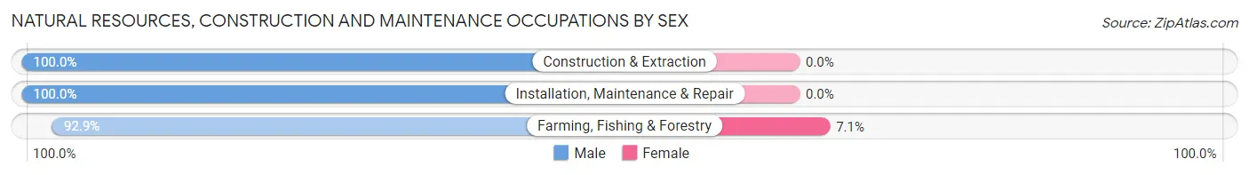 Natural Resources, Construction and Maintenance Occupations by Sex in Zip Code 53810