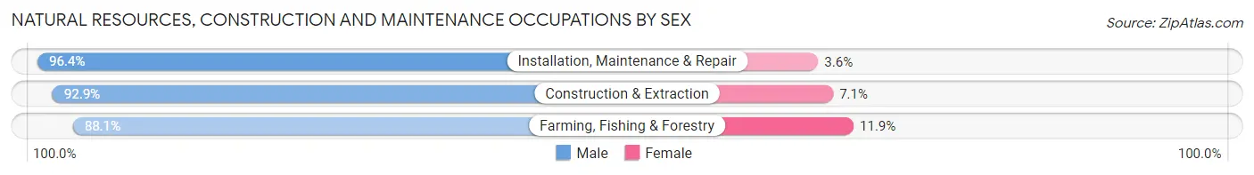 Natural Resources, Construction and Maintenance Occupations by Sex in Zip Code 53820