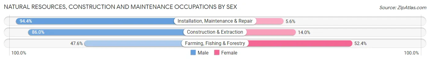 Natural Resources, Construction and Maintenance Occupations by Sex in Zip Code 53901