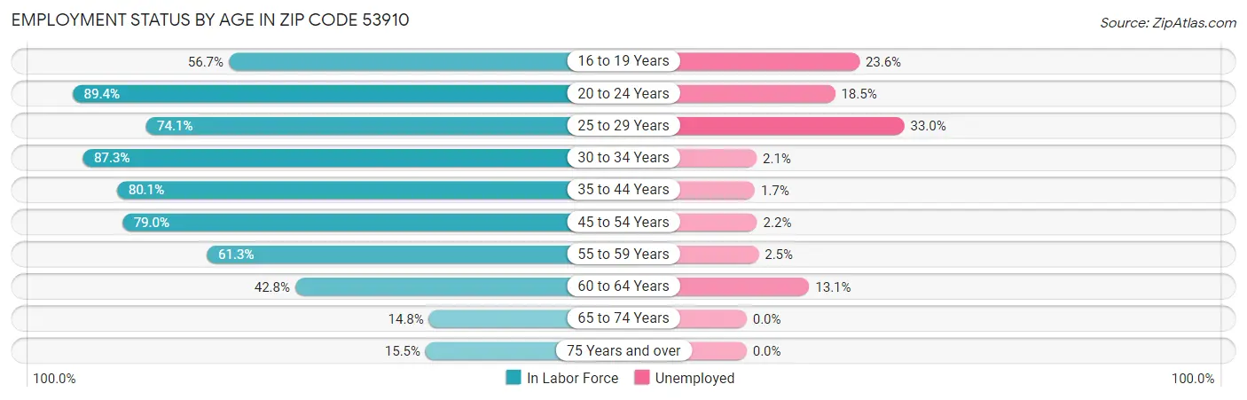 Employment Status by Age in Zip Code 53910