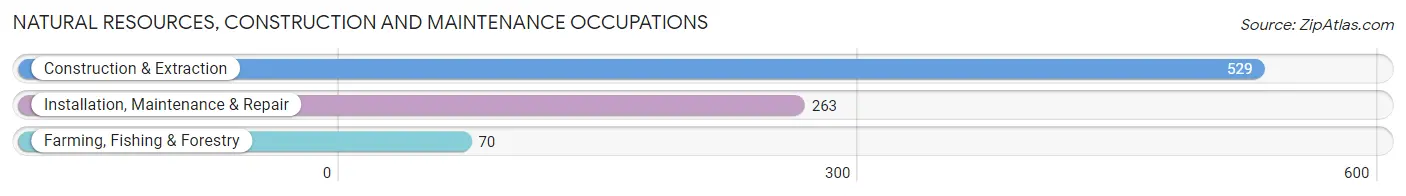 Natural Resources, Construction and Maintenance Occupations in Zip Code 53916