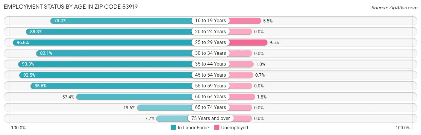 Employment Status by Age in Zip Code 53919