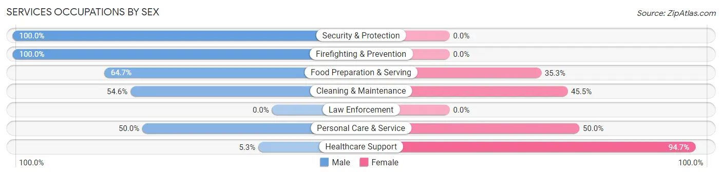 Services Occupations by Sex in Zip Code 53936