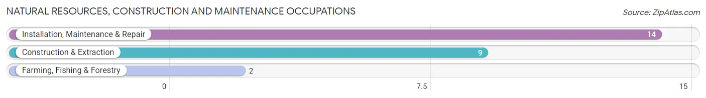 Natural Resources, Construction and Maintenance Occupations in Zip Code 53939