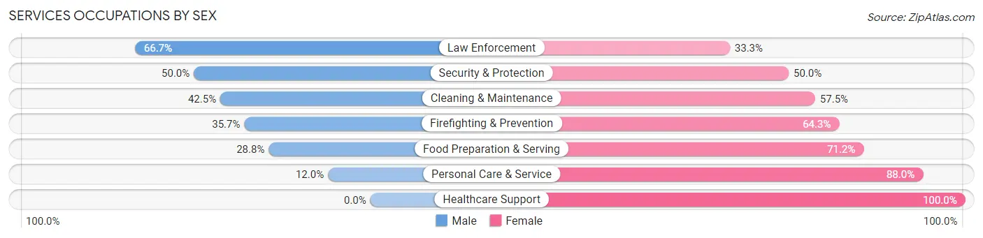 Services Occupations by Sex in Zip Code 53941