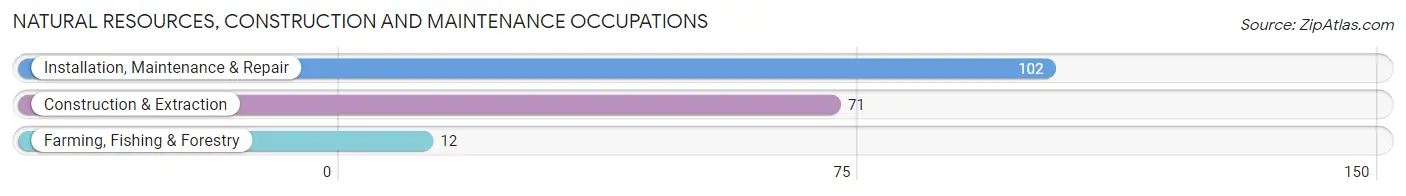 Natural Resources, Construction and Maintenance Occupations in Zip Code 53944