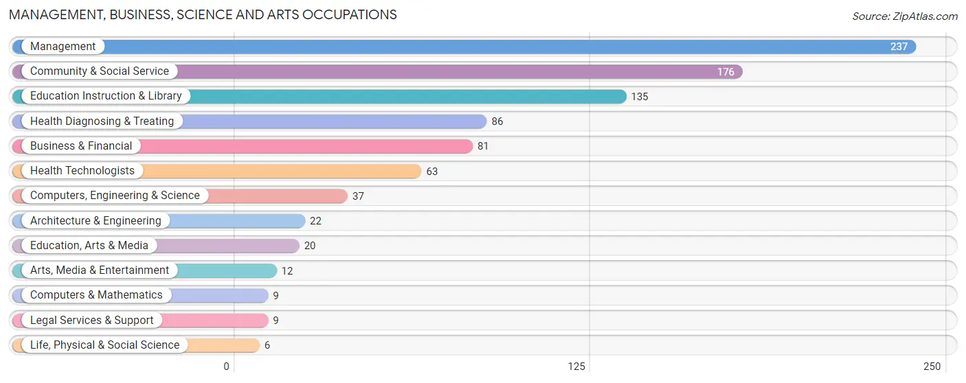 Management, Business, Science and Arts Occupations in Zip Code 53949