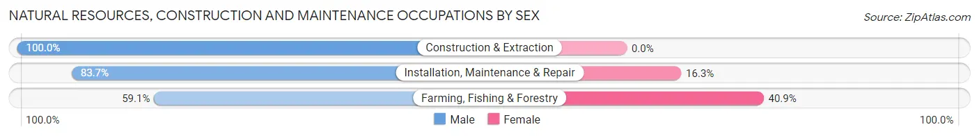 Natural Resources, Construction and Maintenance Occupations by Sex in Zip Code 53951