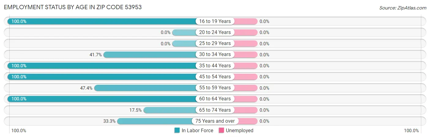 Employment Status by Age in Zip Code 53953