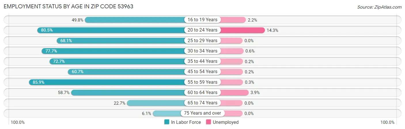 Employment Status by Age in Zip Code 53963