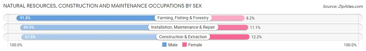 Natural Resources, Construction and Maintenance Occupations by Sex in Zip Code 53965