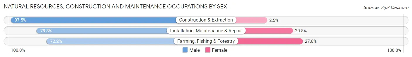Natural Resources, Construction and Maintenance Occupations by Sex in Zip Code 53968