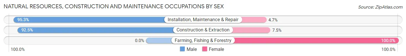 Natural Resources, Construction and Maintenance Occupations by Sex in Zip Code 54001