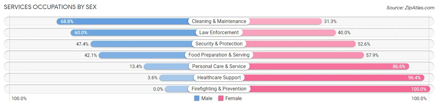 Services Occupations by Sex in Zip Code 54001