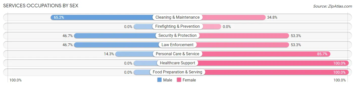 Services Occupations by Sex in Zip Code 54003