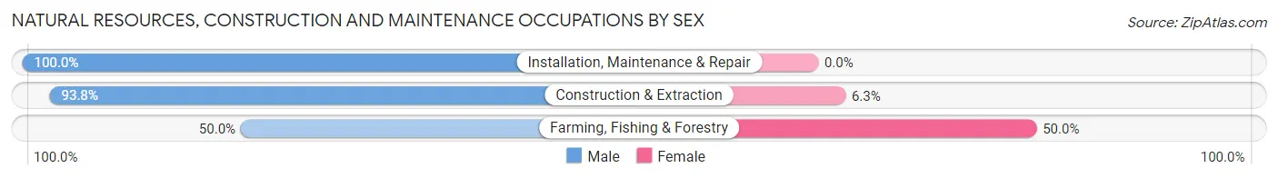 Natural Resources, Construction and Maintenance Occupations by Sex in Zip Code 54004