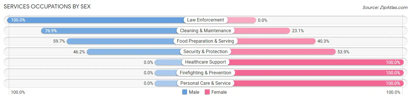 Services Occupations by Sex in Zip Code 54004
