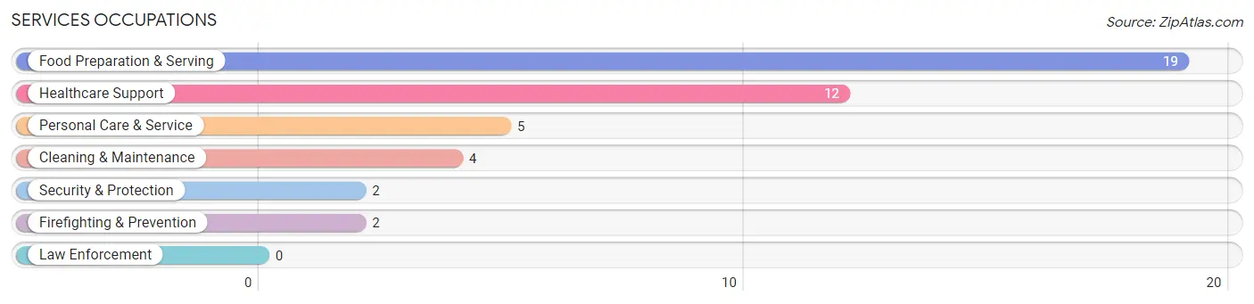 Services Occupations in Zip Code 54006