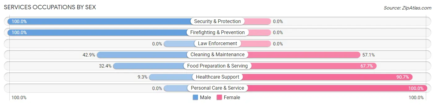 Services Occupations by Sex in Zip Code 54007