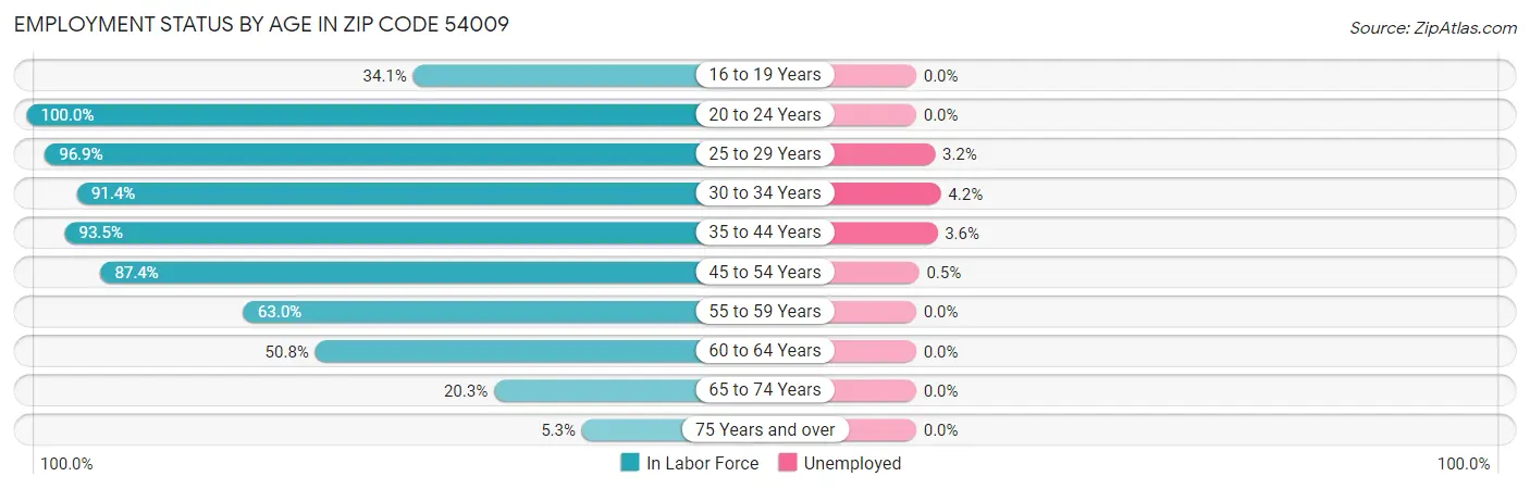 Employment Status by Age in Zip Code 54009