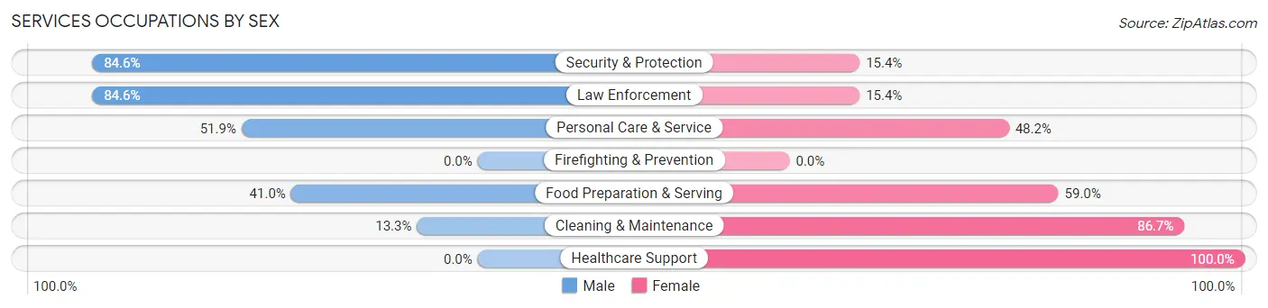 Services Occupations by Sex in Zip Code 54009