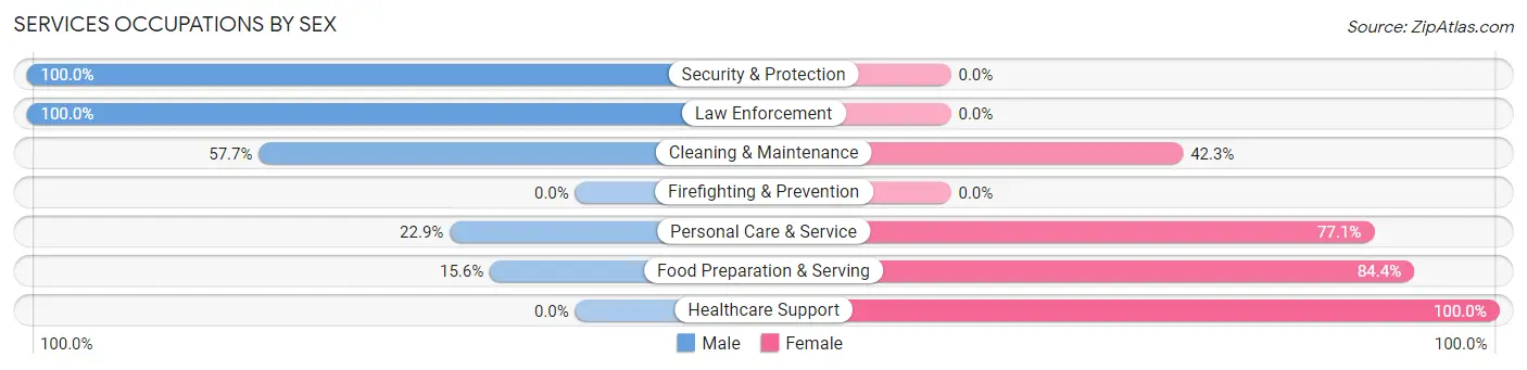 Services Occupations by Sex in Zip Code 54028