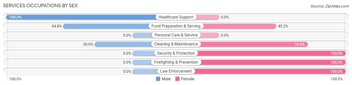 Services Occupations by Sex in Zip Code 54104