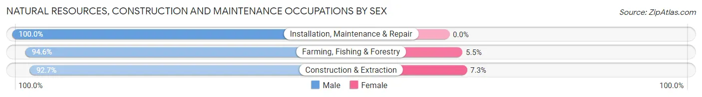 Natural Resources, Construction and Maintenance Occupations by Sex in Zip Code 54106