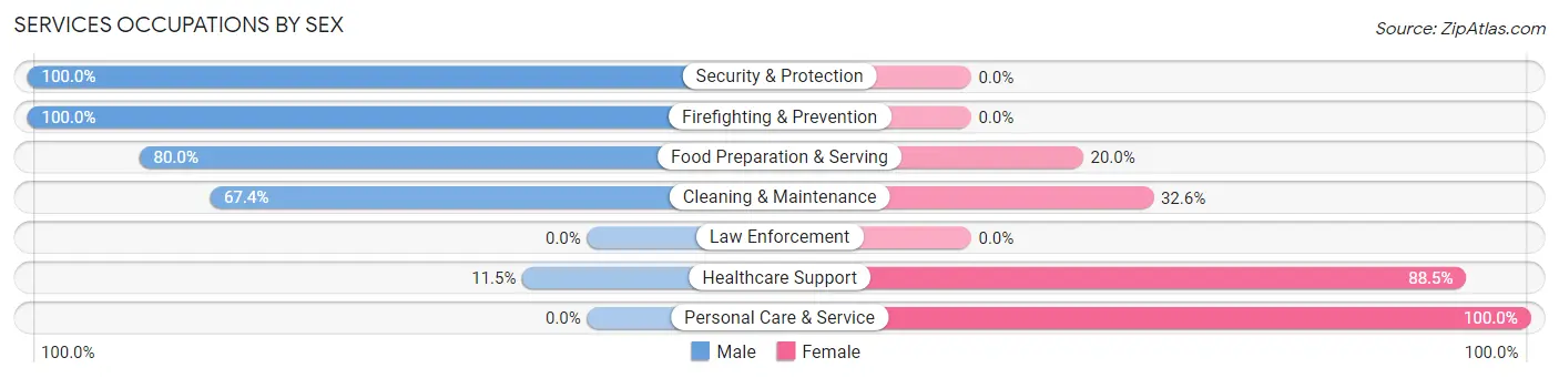 Services Occupations by Sex in Zip Code 54129