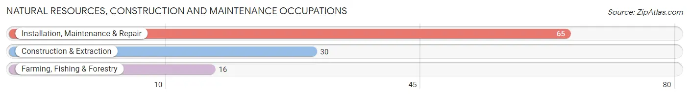 Natural Resources, Construction and Maintenance Occupations in Zip Code 54135