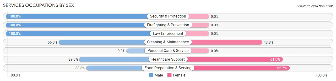 Services Occupations by Sex in Zip Code 54150