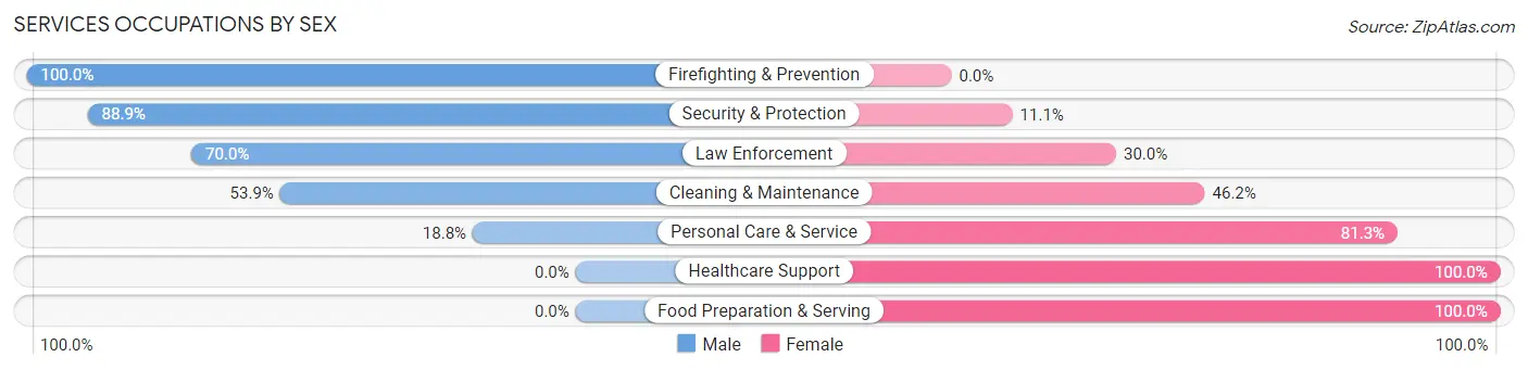 Services Occupations by Sex in Zip Code 54161