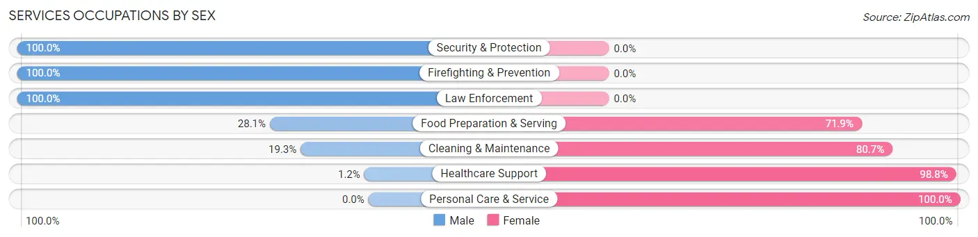 Services Occupations by Sex in Zip Code 54165