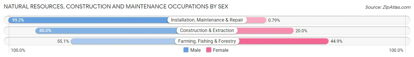 Natural Resources, Construction and Maintenance Occupations by Sex in Zip Code 54166