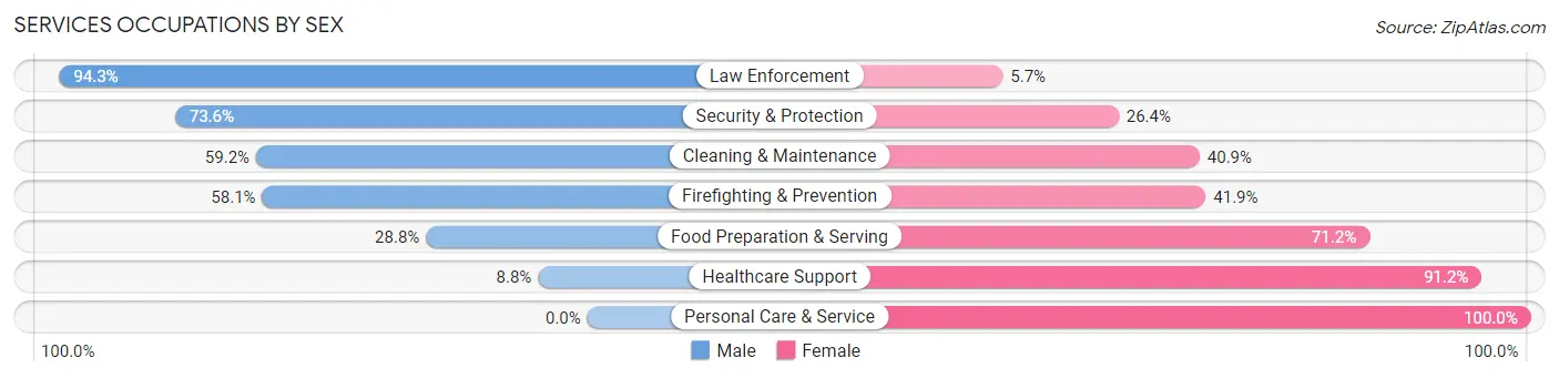 Services Occupations by Sex in Zip Code 54166