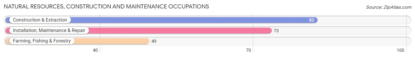 Natural Resources, Construction and Maintenance Occupations in Zip Code 54177