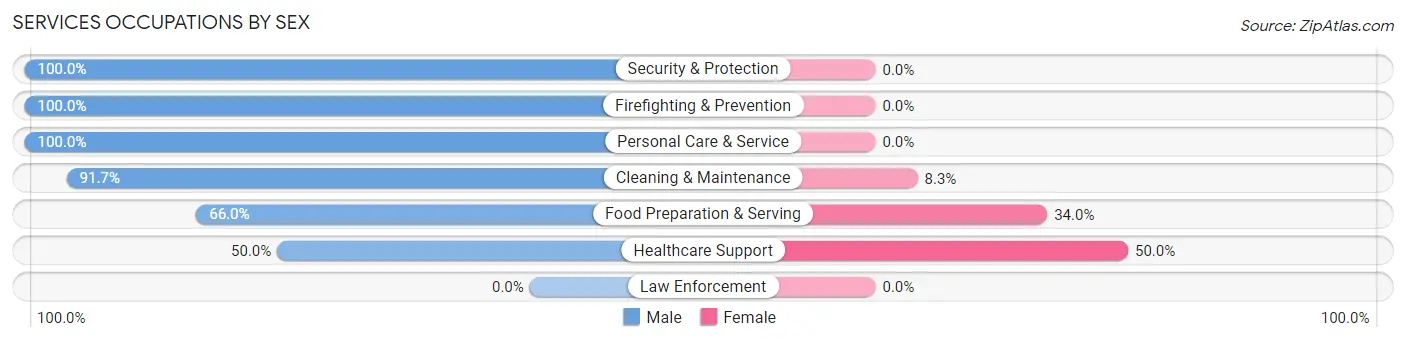 Services Occupations by Sex in Zip Code 54210