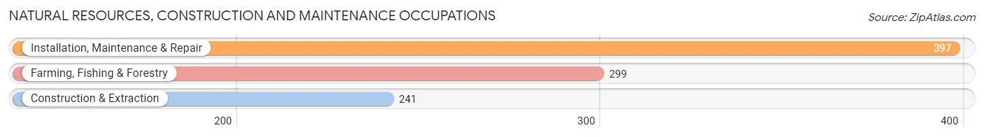 Natural Resources, Construction and Maintenance Occupations in Zip Code 54241